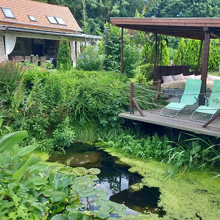 Апартаменты Oshaza Vendeghaz *