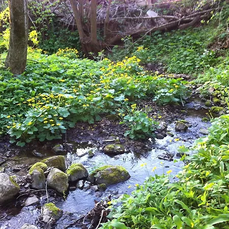 Апартаменты Oshaza Vendeghaz