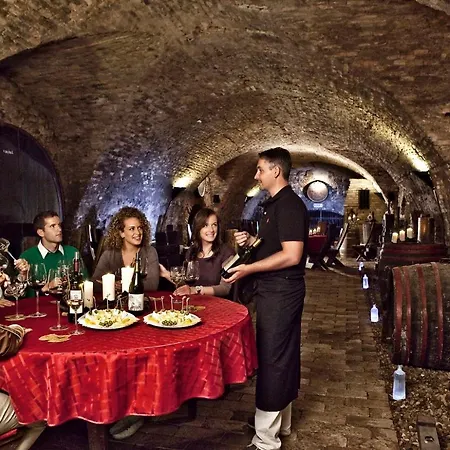 Апартаменты Oshaza Vendeghaz