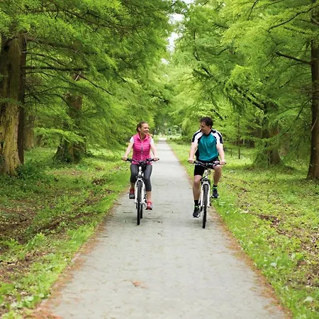 Oshaza Vendeghaz * Bazsi